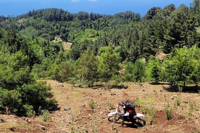 Enduro Dirt-Bike Tour - Bikes, Trail Levels, and Why Flexible Routing Helps You Learn