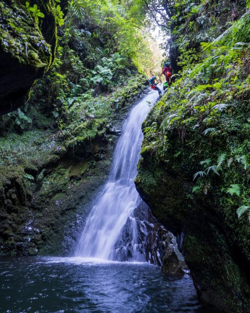 EPIC Madeira Canyoning Level Two - Why Level Two Canyoning on Madeira Feels Like Real Adventure