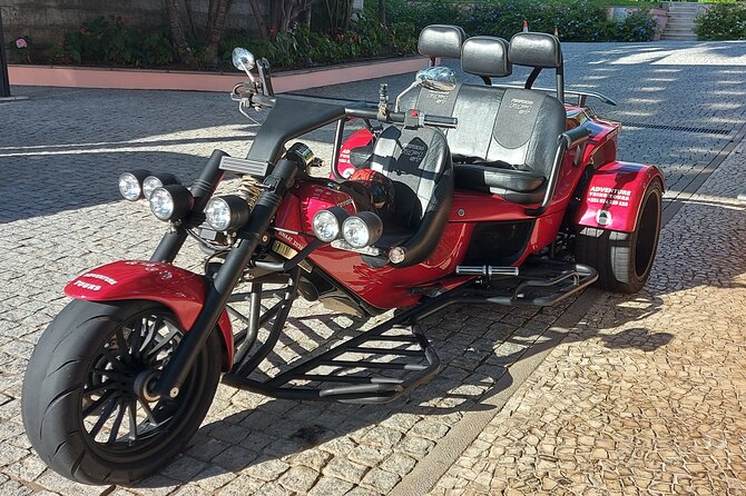 Experience Madeira Private Tour on a Trike - Weather reality: how to plan for fog, drizzle, and mist