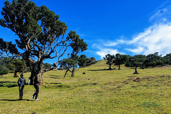 Exploring new Northwest frontiers: Beyond Madeira in 4x4 tour - Porto Moniz: How Farming, Forestry, and Volcanic Water Shape the Town