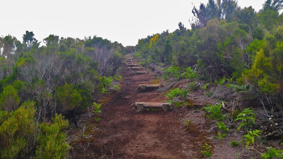 Fanal / Assobiadores - Levada Walk - Steep climbs and narrow paths, and how to handle them