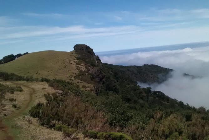 Fanal -Enchanted Forest - Guides who tailor the pace and explain what you see
