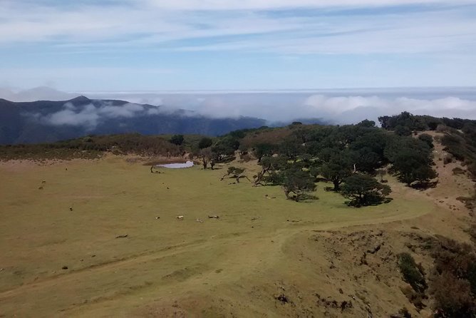 Fanal -Enchanted Forest - What’s included, what to pack, and what to buy yourself