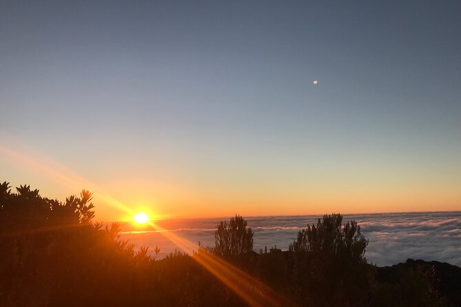 Fanal Forest Private Sunset Hike - The 6-Hour Plan: Pickup, the 1:30 pm Start, and Returning Before Dark