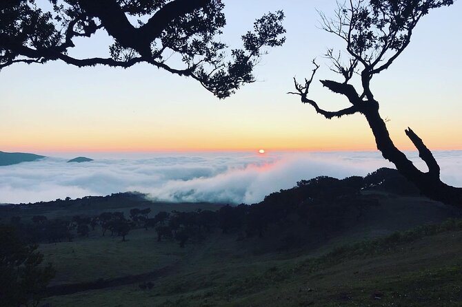 Fanal Forest Private Sunset Hike - Watching the Sunset Above the Clouds, Without Panicking When Weather Turns