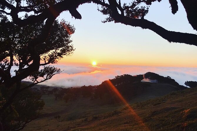 Fanal Forest Private Sunset Hike - After the Walk: Food and Drinks That Make the Evening Feel Complete