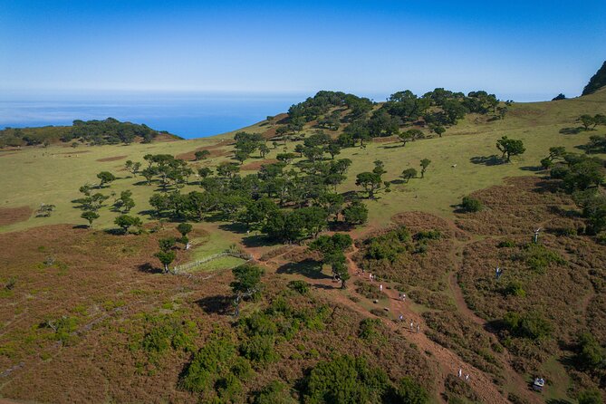 Fanal & Porto Moniz - West Madeira Tour - Timing, Group Size, and Getting the Most Out of Each Stop