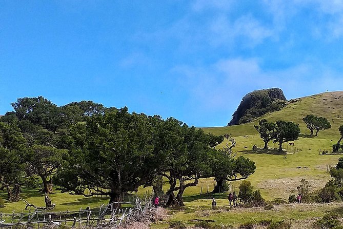 Fascinated Landscapes Northwest 4x4 excursion - Seixal and São Vicente: the payoff after the climbs