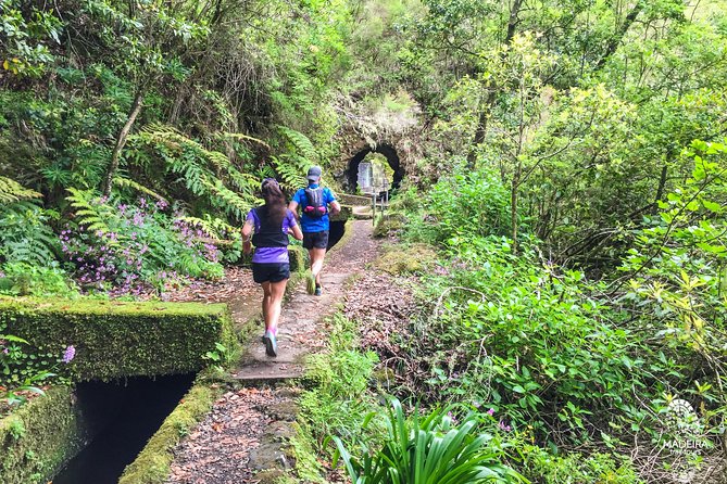 Folhadal Hidden Treasures Running Tour (Moderate) - The route begins on a levada, then the forest tightens