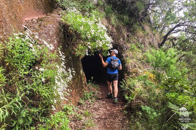 Folhadal Hidden Treasures Running Tour (Moderate) - Tunnels you cross twice: pacing tips for a calmer experience