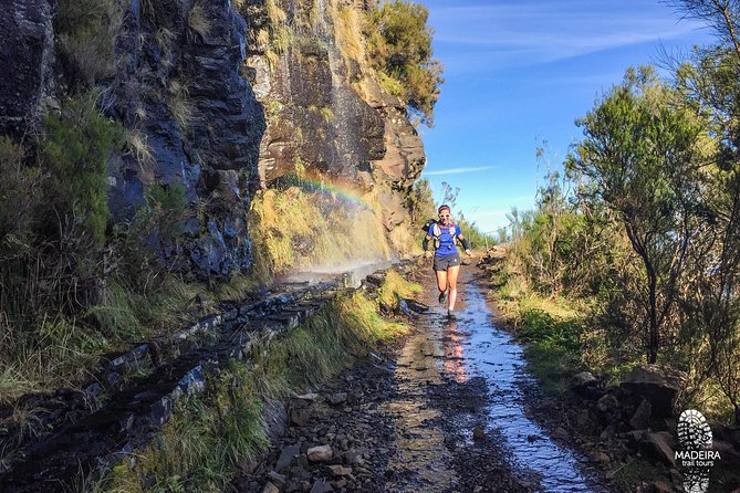 Folhadal Hidden Treasures Running Tour (Moderate) - Finishing the last 3 km downhill