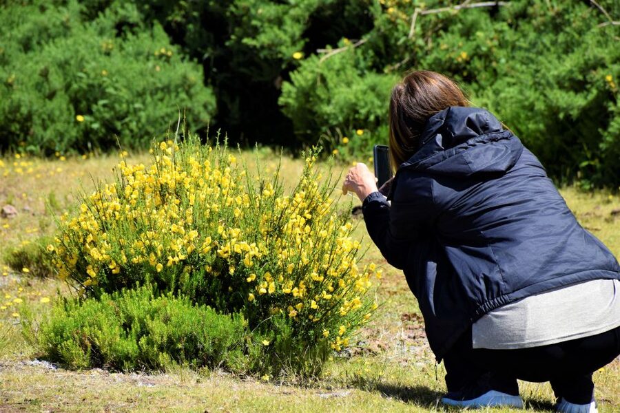 From Funchal: 2-Day Guided Tour of Madeira - Pico Arieiro and Bridal Veil Waterfall: the big moments
