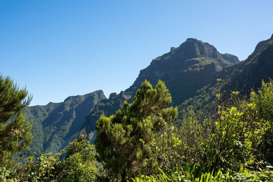 From Funchal: Best of Madeira's West Tour - Seixal Bridal Veil waterfall and the calm of São Vicente