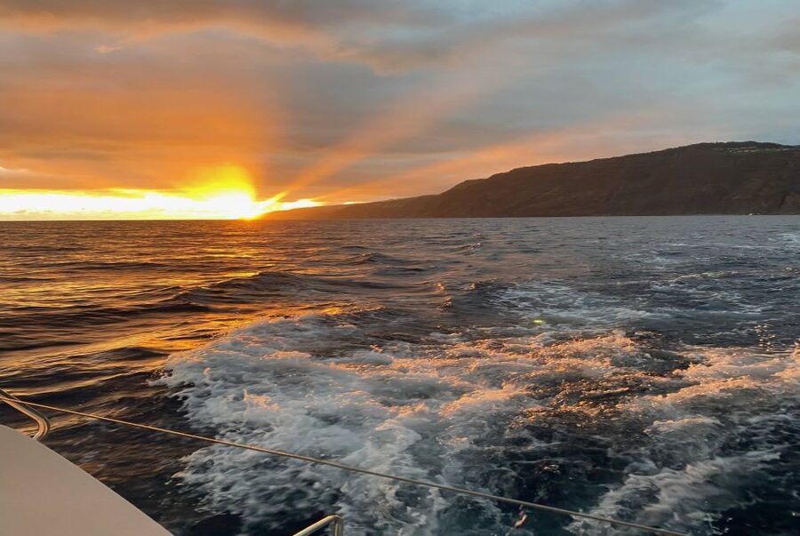 From Funchal: Cabo Girao Sunset Cruise on Luxury Catamaran - Practical Tips for a Smooth Evening at Sea