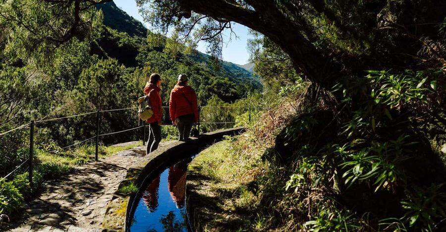From Funchal/Caniço: Rabaçal Hike (25 Fontes) Bus Transfer - Entering Rabaçal the easy way, with a transfer that saves your energy