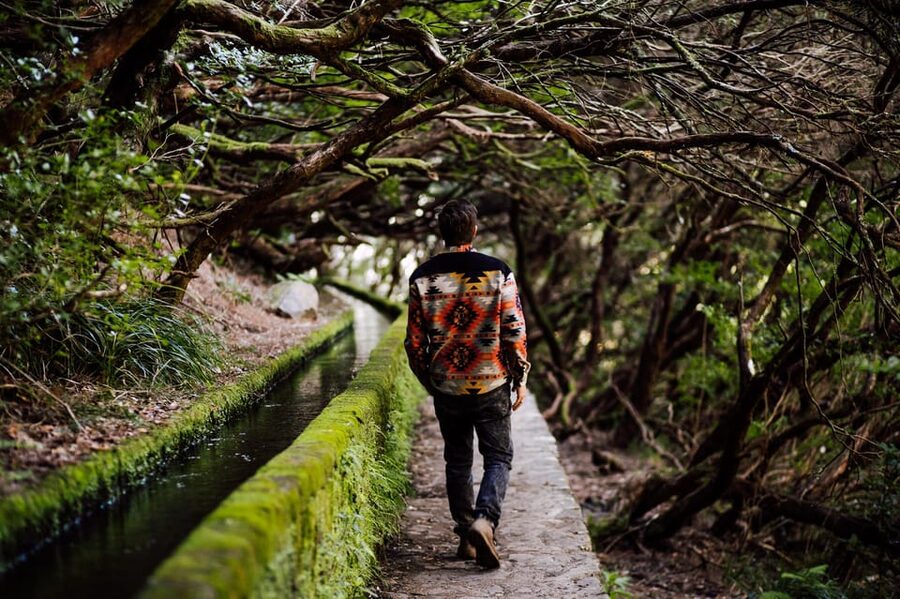 From Funchal/Caniço: Rabaçal Hike (25 Fontes) Bus Transfer - Rabaçal for five hours: self-guided hiking that still feels organized