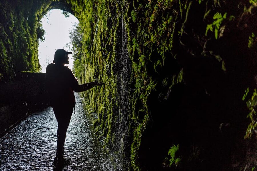 From Funchal/Caniço: Rabaçal Hike (25 Fontes) Bus Transfer - How the day runs: the timing that shapes your hike