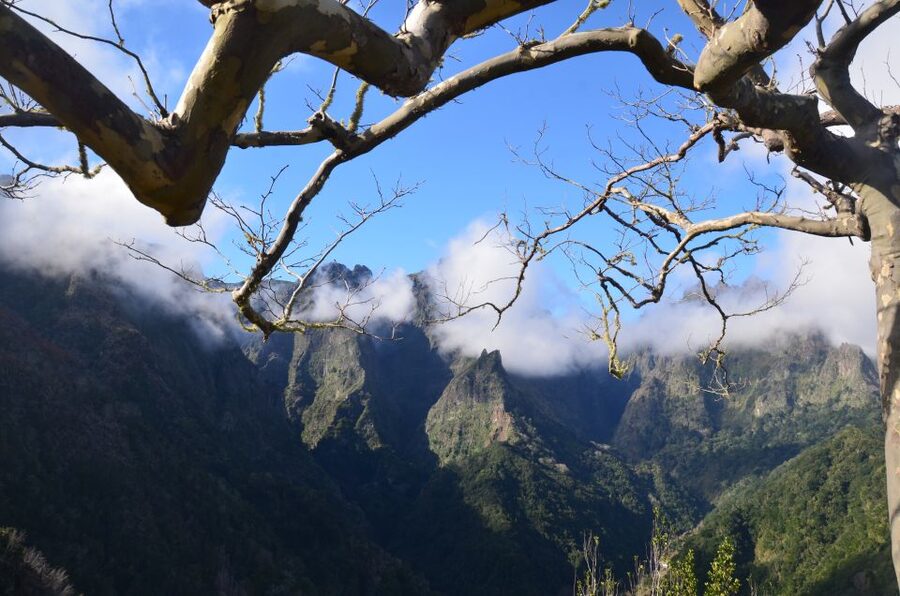 From Funchal: East Tour Madeira 4x4 Jipe Tour Santana Houses - Footwear and pace: what your body needs for this 8-hour day