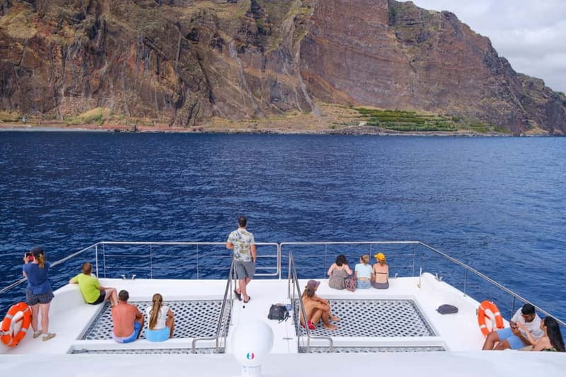 From Funchal: Ecological Catamaran Dolphin Whale Watching - Hybrid electric catamaran comfort, made for calm wildlife watching