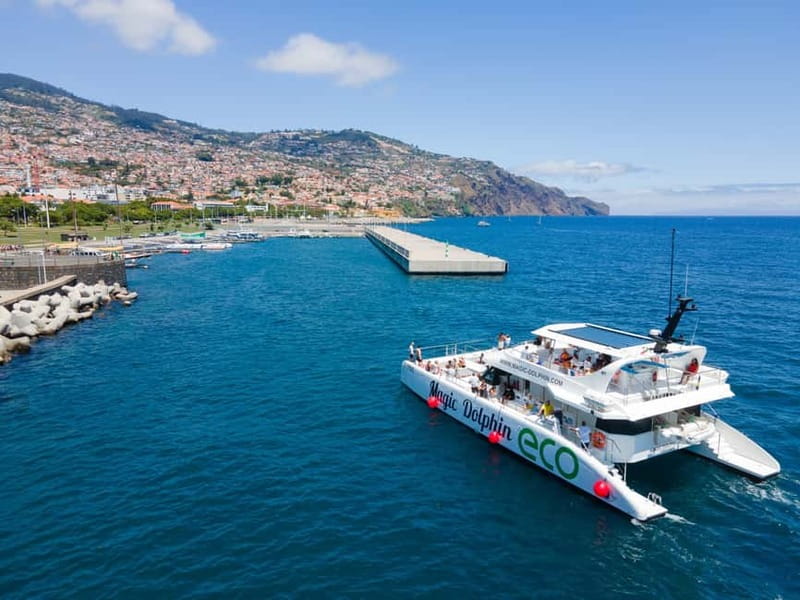 From Funchal: Ecological Catamaran Dolphin Whale Watching - Onboard guide talks, plus bar and facilities you will actually use
