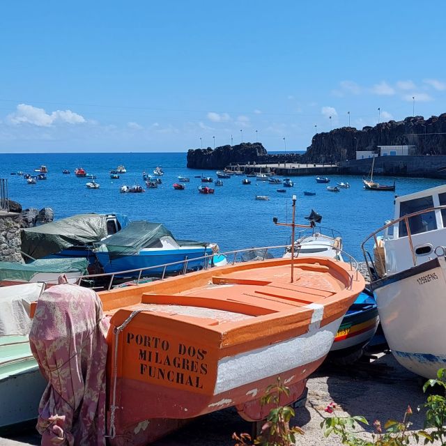 From Funchal: Eucalyptus Forest Guided 4x4 Tour - From Funchal to Câmara de Lobos: sea cliffs and coastline breaks