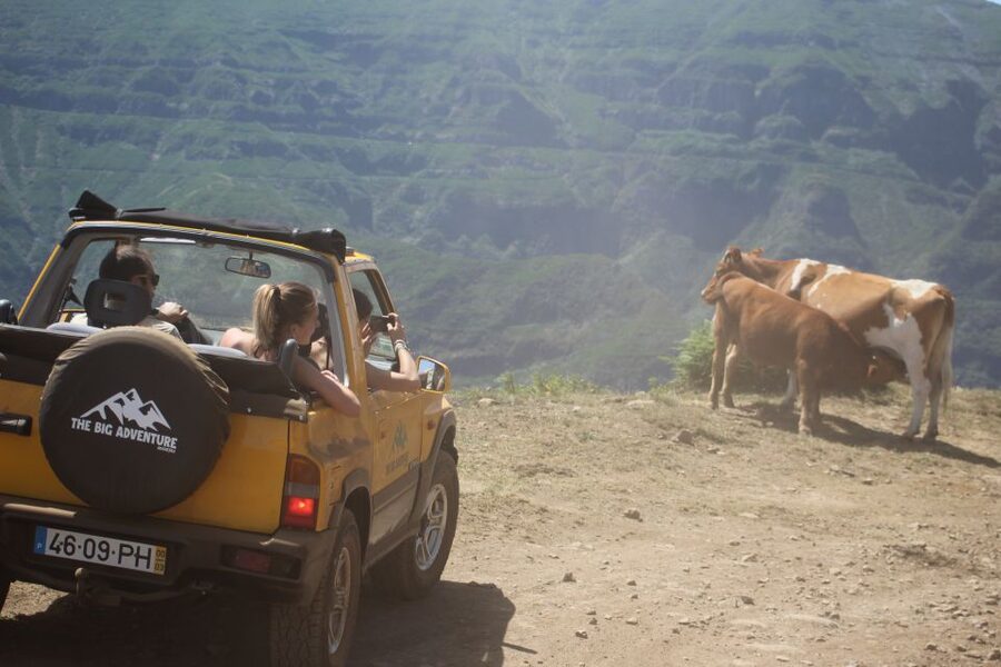 From Funchal: Guided Tour of Madeira Mountains in a Jeep - Ribeira Brava and poncha: the cultural finish with a very local bar