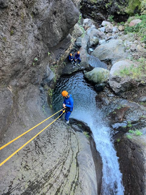 From Funchal: Intermediate Canyoning Adventure (Level 2) - Madeira Canyons in 4 Hours, What Level 2 Really Delivers