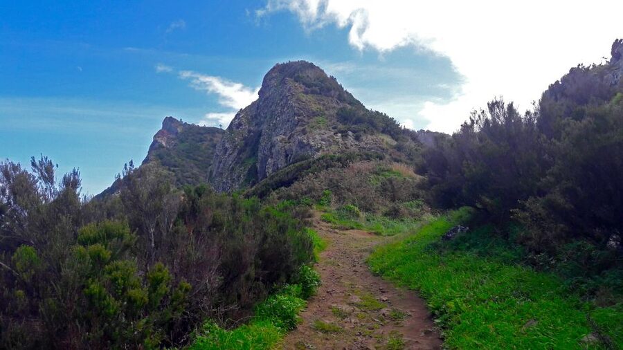 From Funchal: Machico to Porto da Cruz Larano Cliff Hike - Quick take: what makes this hike worth your time