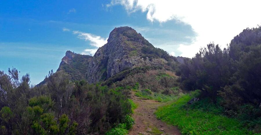 From Funchal: Machico to Porto da Cruz Larano Cliff Hike - Why the Larano cliff route feels like a Madeira highlight