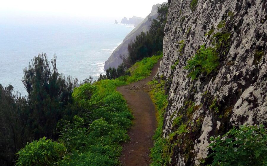 From Funchal: Machico to Porto da Cruz Larano Cliff Hike - The best payoff: ocean views from the south and north sides