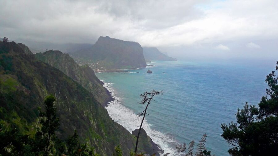 From Funchal: Machico to Porto da Cruz Larano Cliff Hike - Your guide matters here, especially for plants and trail context
