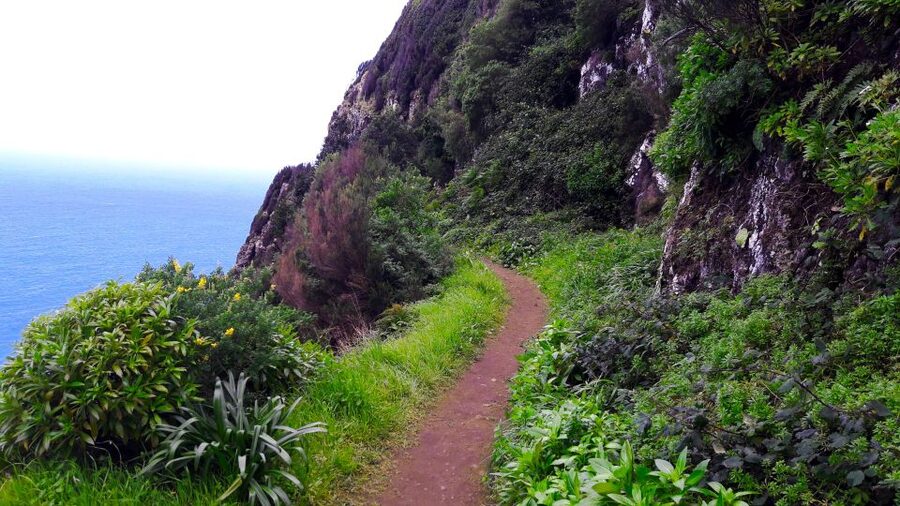 From Funchal: Machico to Porto da Cruz Larano Cliff Hike - A realistic day schedule: timing, stops, and lunch