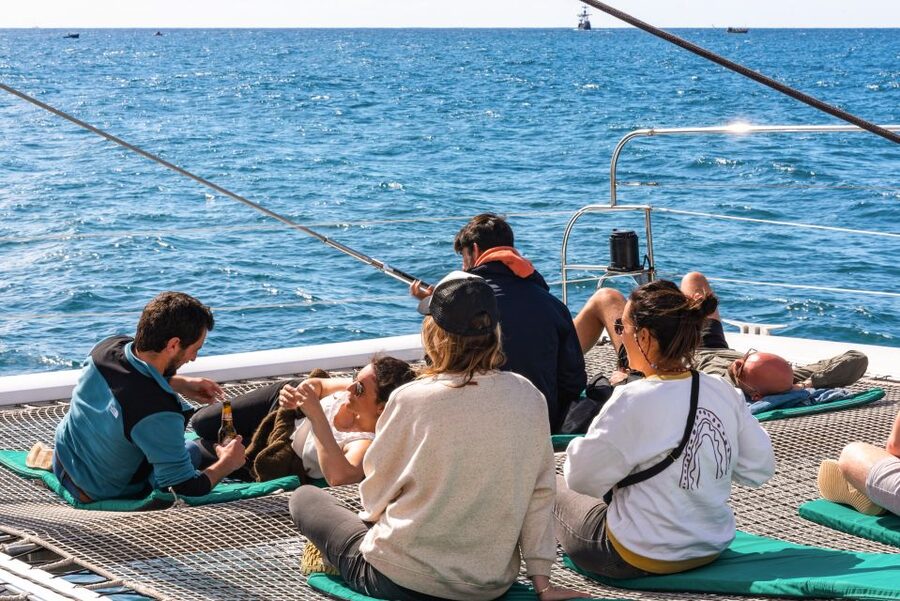 From Funchal: Madeira Dolphin and Whale Watching Tour - Price and Value: Is $47 a Good Deal?