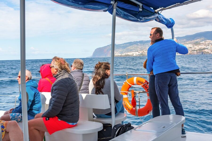 From Funchal: Madeira Dolphin and Whale Watching Tour - What to Bring for a Comfortable Sea Day