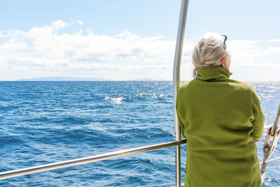 From Funchal: Madeira Dolphin and Whale Watching Tour - Cabo Girão Swim Stop: The Best Part If You Want Saltwater Fun