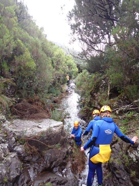 From Funchal: Madeira Island Canyoning for Beginners - Should you book this Madeira beginner canyoning trip?