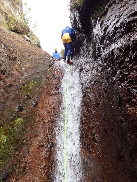 From Funchal: Madeira Island Canyoning for Beginners - Getting from Funchal to Camacha, without wasting your morning