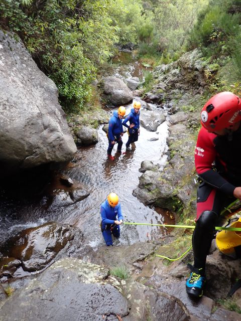 From Funchal: Madeira Island Canyoning for Beginners - What to bring, and how to avoid the common beginner mistakes
