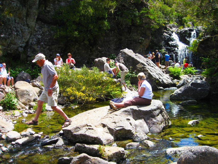 From Funchal: Madeira Lakes Levada Guided Hike - Key things you will notice on this Madeira Levada Hike