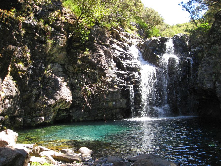 From Funchal: Madeira Lakes Levada Guided Hike - From Funchal pickup to a forest line of mini-canals