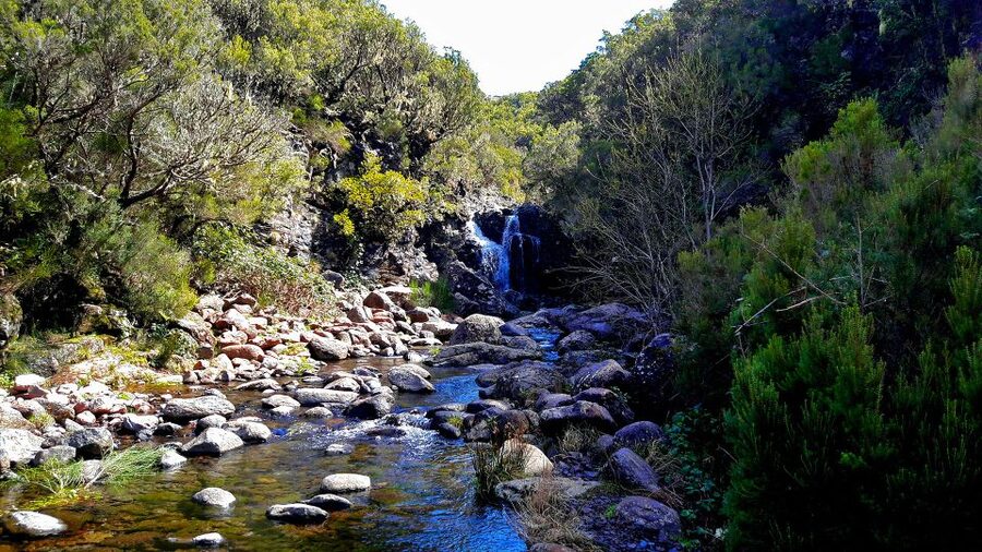 From Funchal: Madeira Lakes Levada Guided Hike - Waterfalls and rock pools: where the trail gets more alive