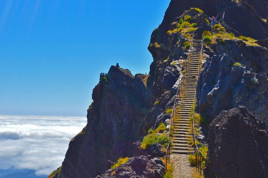 From Funchal: Madeira Peaks Mountain Walk - Key highlights that make this hike worth your time