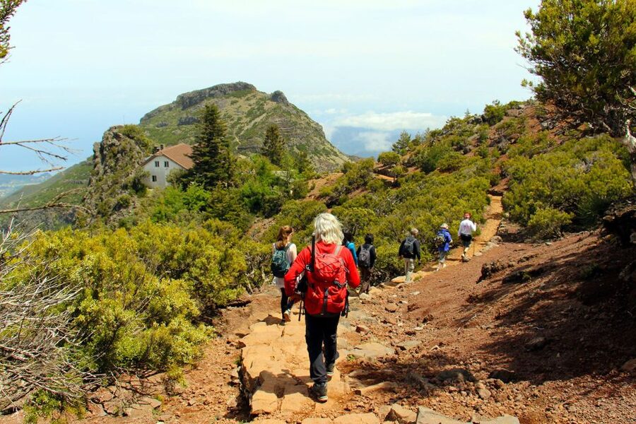 From Funchal: Madeira Peaks Mountain Walk - From Funchal to the trail: why the van ride matters