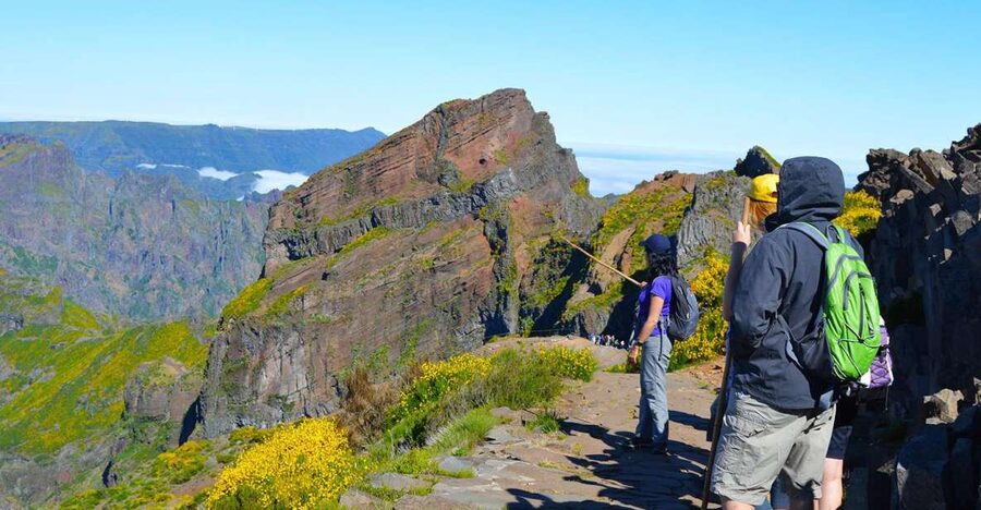 From Funchal: Madeira Peaks Mountain Walk - Pico Ruivo and the heather forest: where the plants steal the show