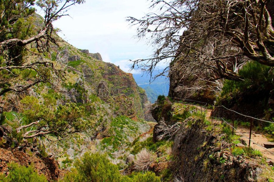 From Funchal: Madeira Peaks Mountain Walk - Food, water, and what to pack for an 8-hour mountain day