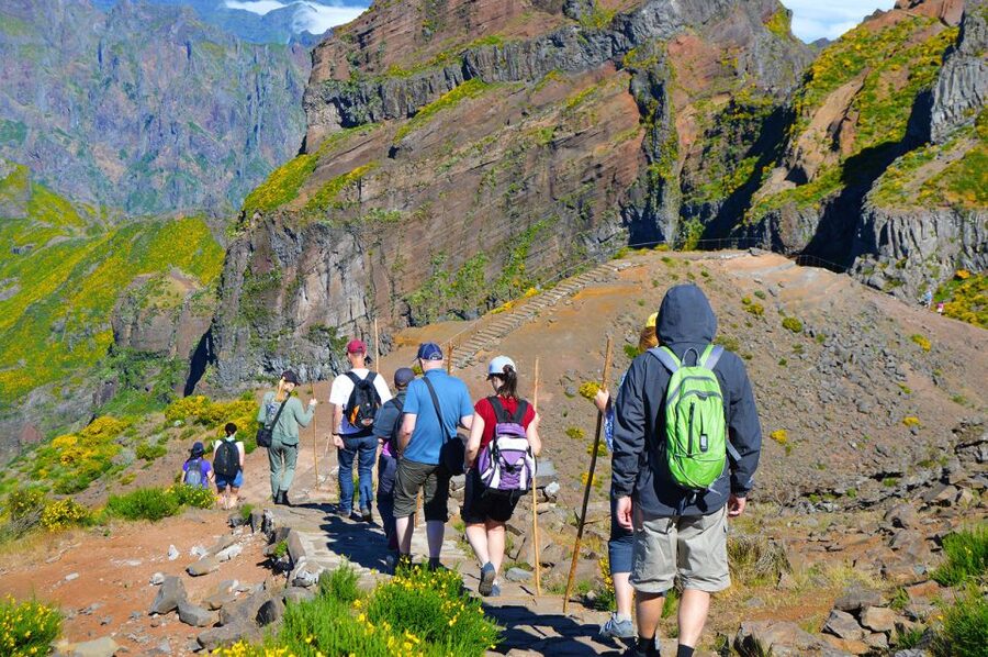 From Funchal: Madeira Peaks Mountain Walk - Weather and the plan B: what happens when the peaks go wrong