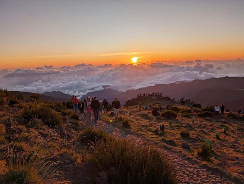 From Funchal: Pico Arieiro Sunrise with Optional Breakfast - The Paradise Valley Levada Walk: Short, Scenic, and Low Stress