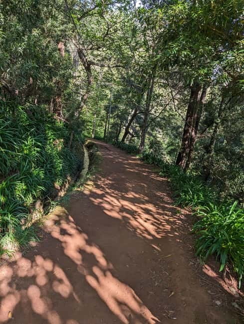 From Funchal: Pico Arieiro Sunrise with Optional Breakfast - Price and Value: What You Get for About $51