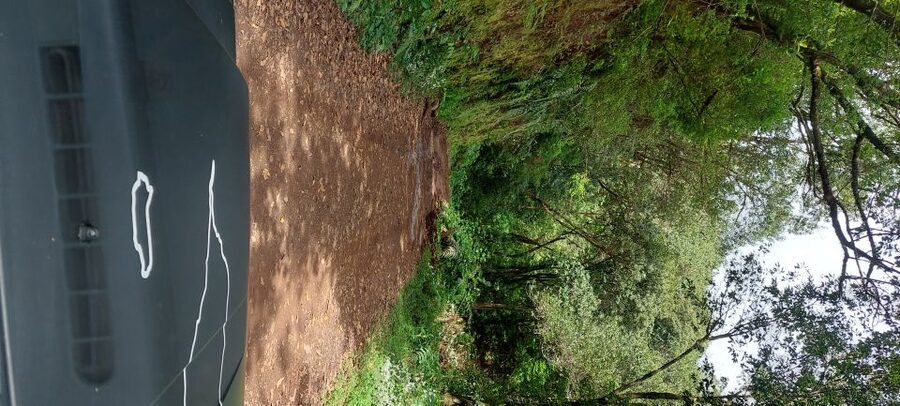 From Funchal: Pico Do Arieiro and Santana Full-Day 4x4 Tour - Why This East Madeira 4x4 Day Feels Different