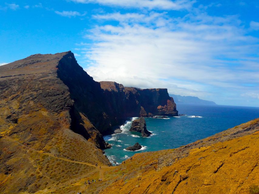 From Funchal: Ponta de São Lourenço/Caniçal Full-Day Hike - The Caniçal portion: how the island changes as you move east
